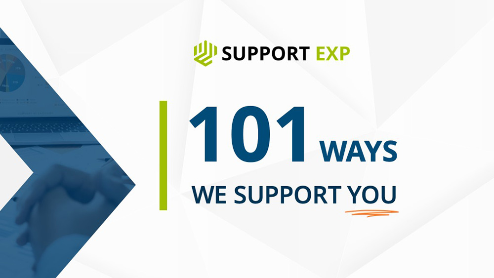 Cover of 101 Ways Support EXP Supports You Article