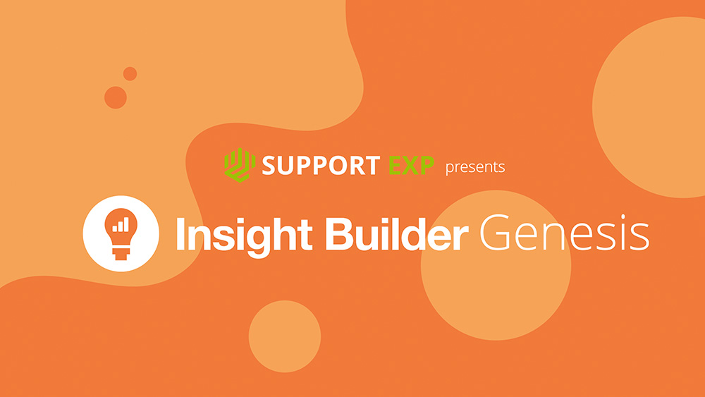 Cover of Insight Builder Genesis eBook