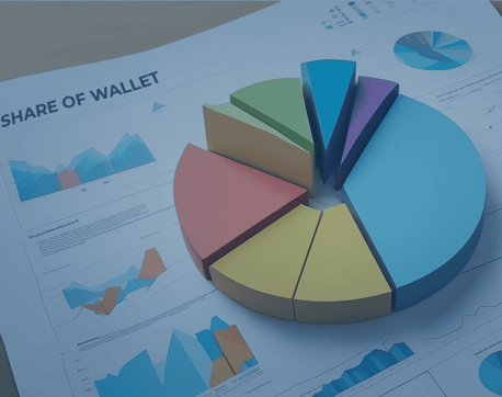 share of wallet pie chart